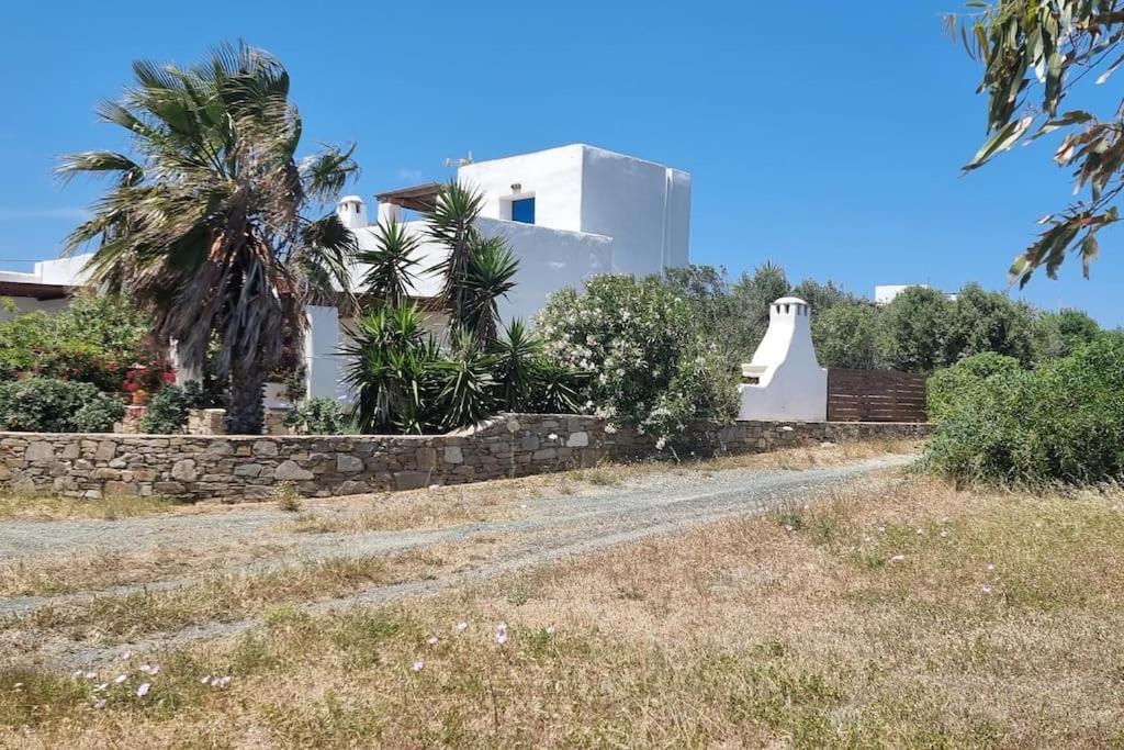 Villa Kalliopi Ambelas Paros ภายนอก รูปภาพ