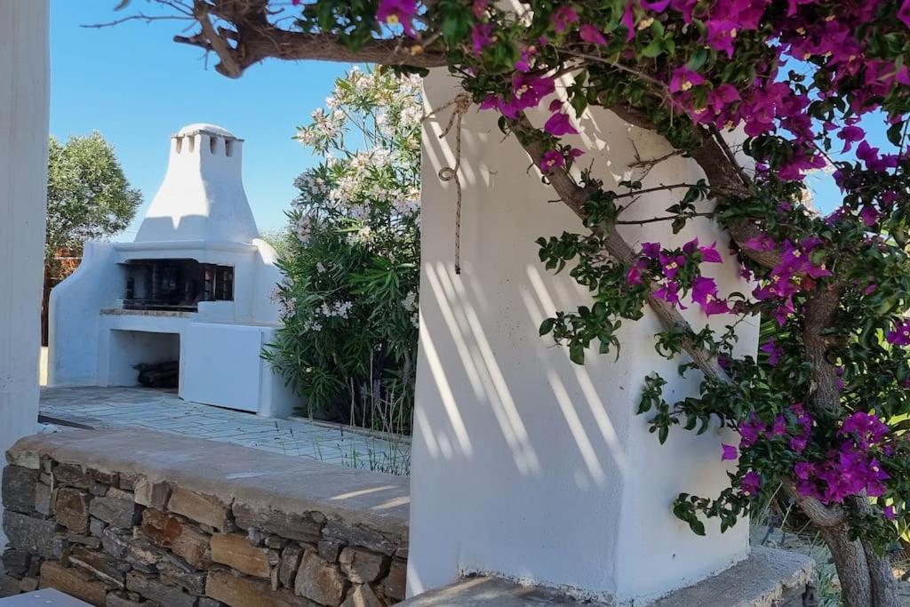 Villa Kalliopi Ambelas Paros ภายนอก รูปภาพ