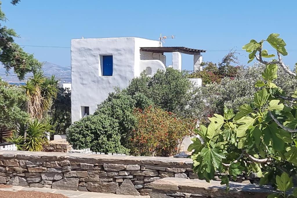 Villa Kalliopi Ambelas Paros ภายนอก รูปภาพ