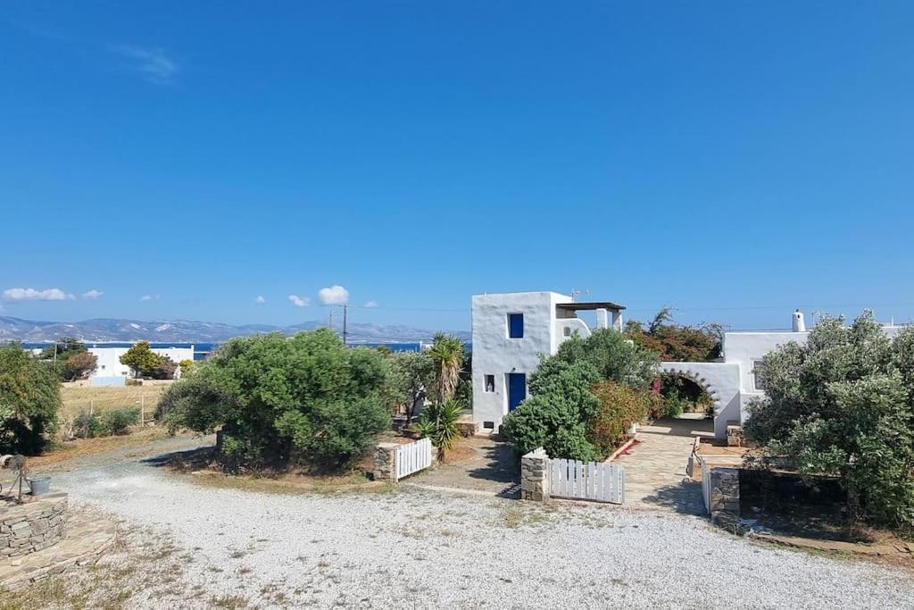 Villa Kalliopi Ambelas Paros ภายนอก รูปภาพ