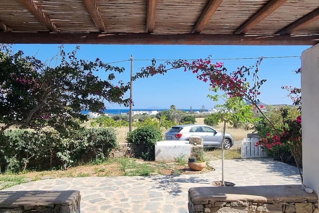 Villa Kalliopi Ambelas Paros ภายนอก รูปภาพ