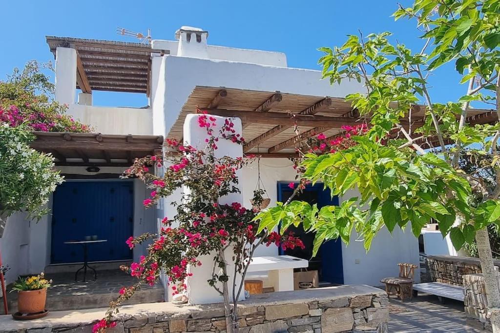 Villa Kalliopi Ambelas Paros ภายนอก รูปภาพ